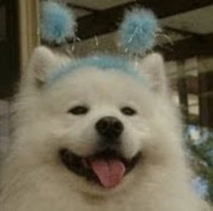 Meet your Posher, Nataly